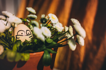 Funny handdrawing egg