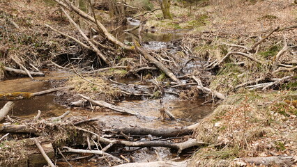 Der Forstelbach - Nähe Hermeskeil