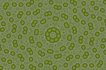 モザイク技法による幾何学的な模様のデザイン