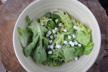 green lettuce salad with mozzarella