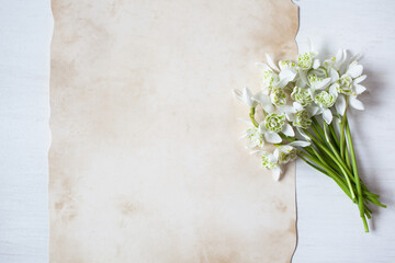 Bouquet of spring flowers of snowdrops on a white wooden background and vintage paper for text.