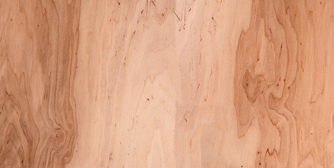 Wood texture. Wood background with natural pattern for design and decoration.