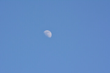 Half moon