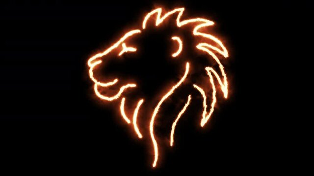 Lion profile head outline of burning flames and lion head in neon lights. Compilation of animation with lion in fire and glow light effects.