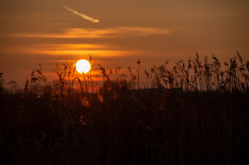 beautiful sunset sundown in grassland