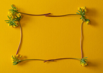 This is an idea for a spring postcard. Small yellow flowers are on a yellow background.