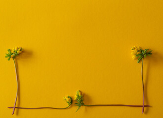 This is an idea for a spring postcard. Small yellow flowers are on a yellow background.