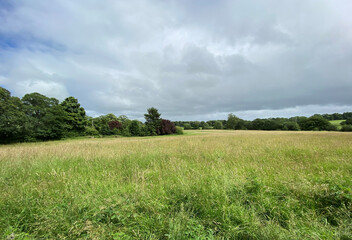 Tranquil view, over a large meadow, with long grass, with trees, and heavy cloud on the horizon near, Otley, Yorkshire, UK