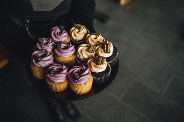 Waiter is serving a platter of yummy blueberry and chocolate cupcakes