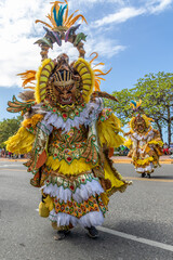 Lion Costume in the Dominican Republic