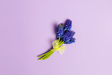 Grape hyacinth bouquet on mauve purple background - 423064876