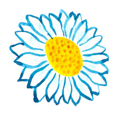 Watercolor illustration of a chamomile with blue and white petals and a yellow center with dots. The element is isolated, on a white background.