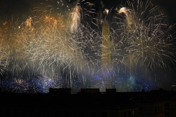 Fireworks - Biden and Harris Inaugural Celebration 2021. 