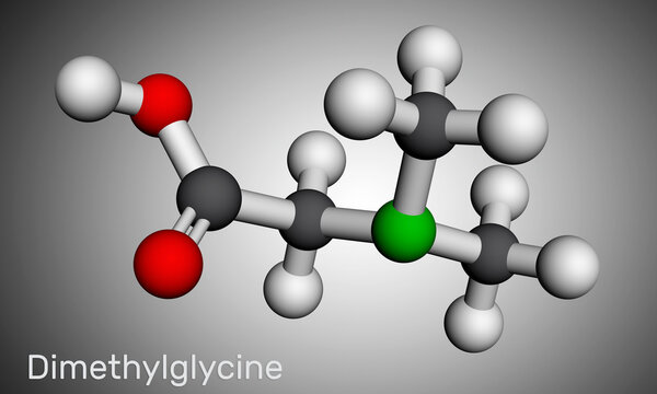Dimethylglycine, DMG, N,N-dimethylglycine molecule. It is derivative of the amino acid glycine. Molecular model. 3D rendering