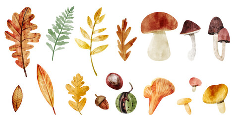 Watercolor set of autumn leaves and mushrooms 