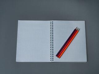 A workbook in a cage and colored pencils