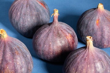 figs group on blue background