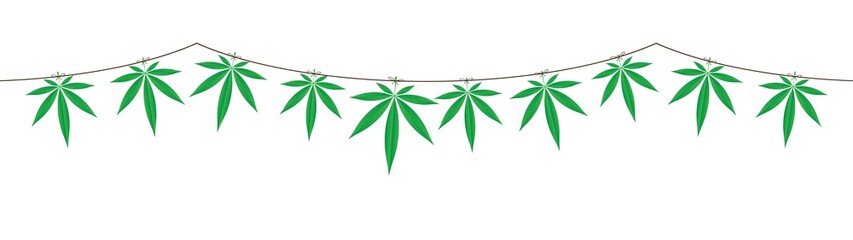 green botanical garland with marihuanna leaves. Vector illustration.