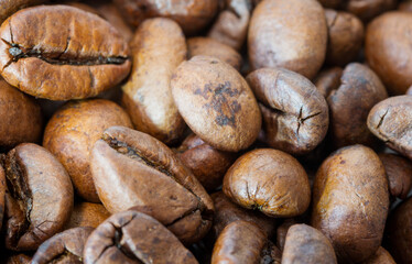 Coffee beans close up
