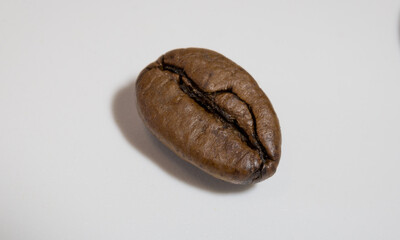 Coffee beans close up