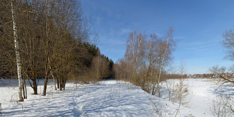 Spring walk through the forest, beautiful panorama.