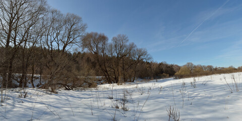 Spring walk through the forest, beautiful panorama.