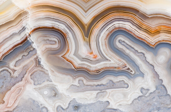 Macro photograph of the banding pattern in a Crazy Lace agate from Mexico