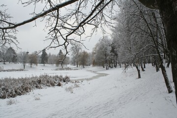 winter landscape, the scene was shot in a city park near a small pond, Ukraine