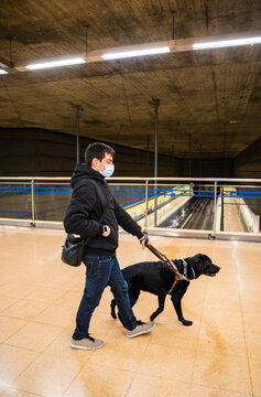 Blind Man Walking With Guide Dog In Subway