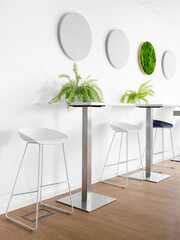 Design interior, chairs and flower ferns.