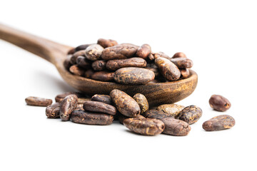 Roasted cocoa beans in wooden spoon