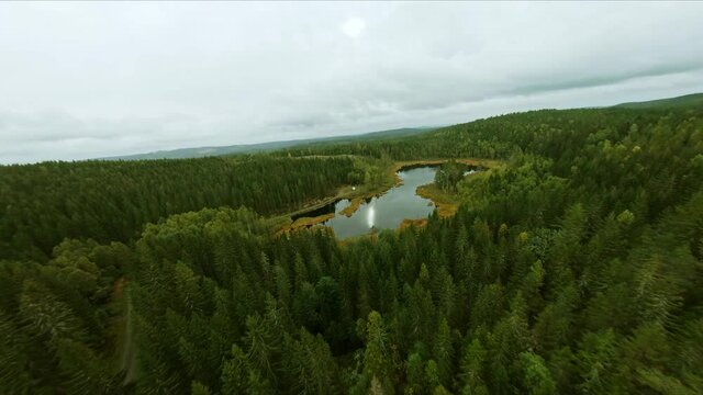 FPV drone flight over calm reflection lake surrounded by forest in the swedish countryside with a white camping van (Part 6)
