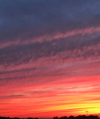 Orange Sunset