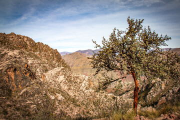 hiking in sucre, bolivia, maragua crater