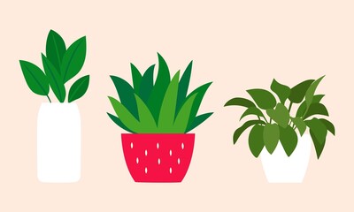 Distintos tipos de plantas. 