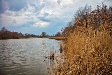 Hausdülmen- Fischteich