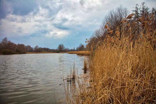 Hausd&uuml;lmen- Fischteich