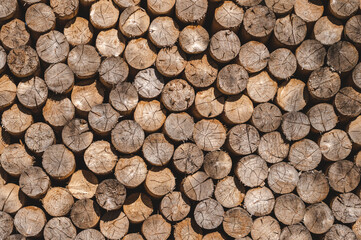 Stacked timber wood logs, abstract firewood background pattern