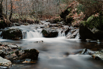 la Sawe, courant fagnard