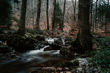 Obraz premium la Sawe, courant fagnard