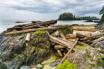 Fototapeta na wymiar Driftwood pile along Vancouver Island west coast shoreline