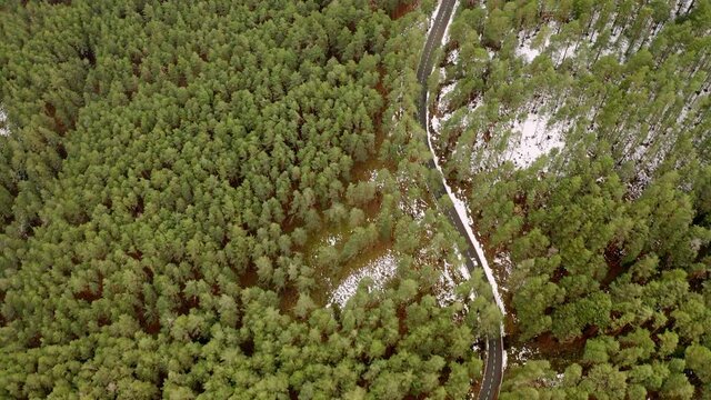 Carretera y veh&iacute;culo circulando en el bosque de pinos nevado con dron