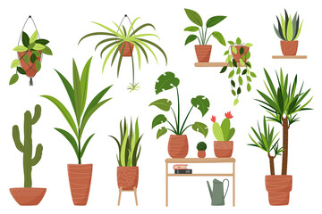 Big set of isolated home plants in pots for decor your living room or office. Potted plants bundle, house plants. Vector collection in a flat style