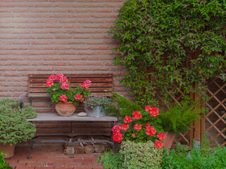 Fototapeta na wymiar flowers on a bench near the house