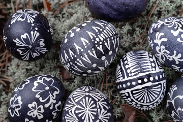 Traditional Easter eggs, painted with wax in black paint, called marguciai in Lithuania, on a background of gray lichens. The concept rebirth of the nature. Closeup, top view, selective focus