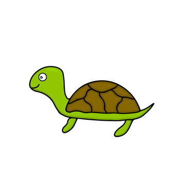 Cute turtle isolated on white. Hand drawn cartoon character. Vector illustration