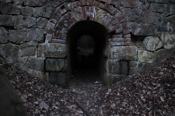 A view to mysterious dark tunnel with the leaves in front at the deep forest