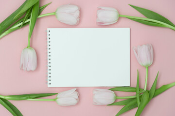 Top view or flat lay of purple and white tulip flowers and blank paper card on pink background with copy space for text. Feminine concept.