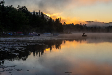vue d'un cygne gonflable qui flotte sur un lac super calme lors d'un lever de soleil enflammé et silhouette d'une forêt