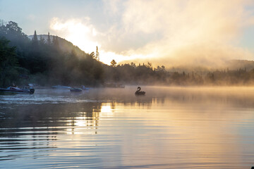 Fototapeta na wymiar vue d'un cygne gonflable qui flotte sur un lac super calme lors d'un lever de soleil brumeux
